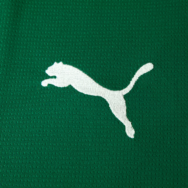 Palmeiras 2026/27 Home Men’s Soccer Jersey